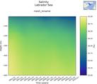 Time series of Labrador Sea Salinity vs depth